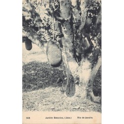 Rare collectable postcards of Brazil. Vintage Postcards of Brazil