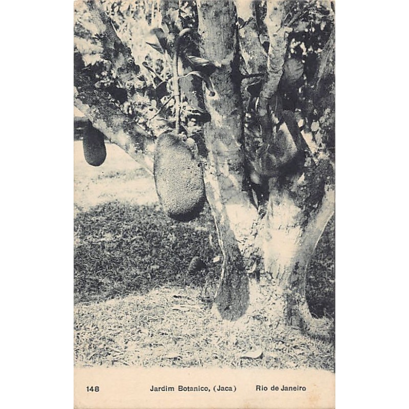 Rare collectable postcards of Brazil. Vintage Postcards of Brazil