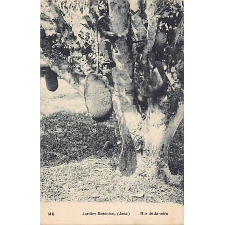 Rare collectable postcards of Brazil. Vintage Postcards of Brazil