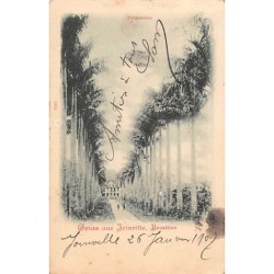 Rare collectable postcards of Brazil. Vintage Postcards of Brazil