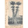 Rare collectable postcards of Brazil. Vintage Postcards of Brazil