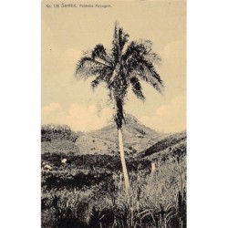 Rare collectable postcards of Brazil. Vintage Postcards of Brazil