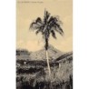 Rare collectable postcards of Brazil. Vintage Postcards of Brazil