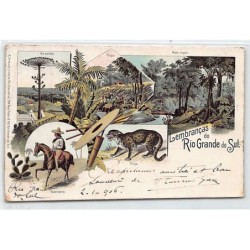 Rare collectable postcards of Brazil. Vintage Postcards of Brazil