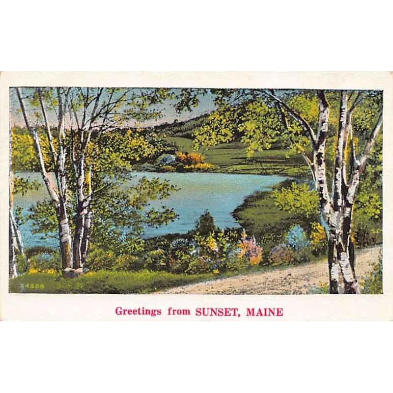 Rare collectable postcards of United States. Vintage Postcards of United States