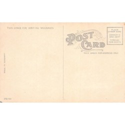 Rare collectable postcards of United States. Vintage Postcards of United States