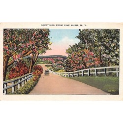 Rare collectable postcards of United States. Vintage Postcards of United States