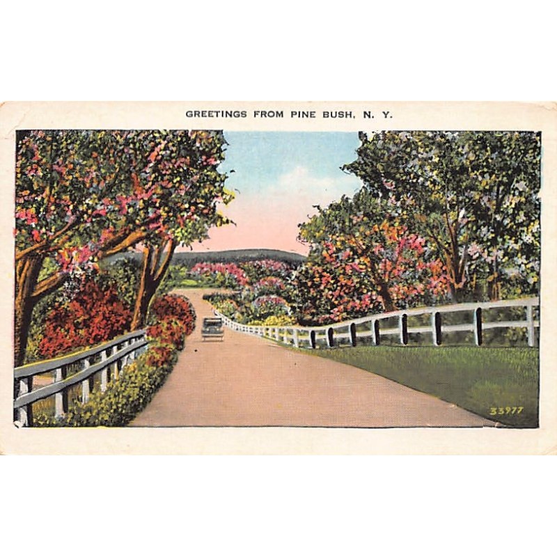 Rare collectable postcards of United States. Vintage Postcards of United States