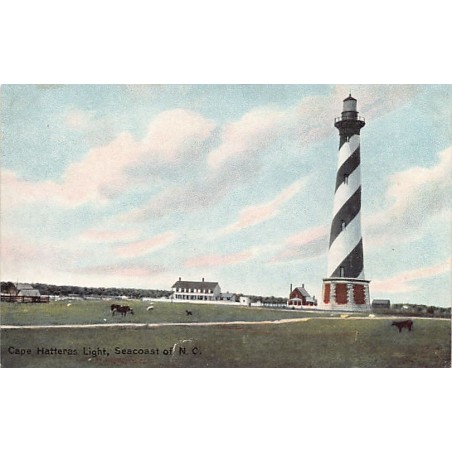 Rare collectable postcards of United States. Vintage Postcards of United States