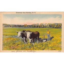 Rare collectable postcards of United States. Vintage Postcards of United States