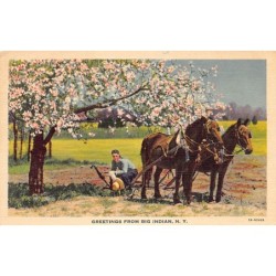 Rare collectable postcards of United States. Vintage Postcards of United States