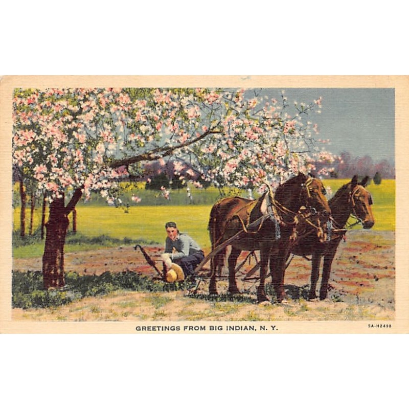 Rare collectable postcards of United States. Vintage Postcards of United States