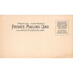 Rare collectable postcards of United States. Vintage Postcards of United States