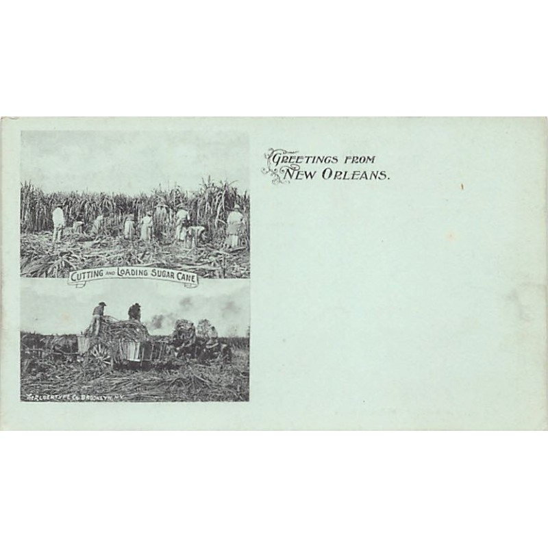 Rare collectable postcards of United States. Vintage Postcards of United States