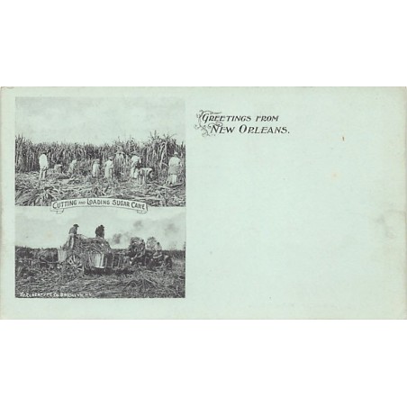 Rare collectable postcards of United States. Vintage Postcards of United States