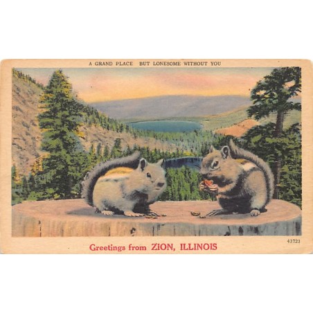 Rare collectable postcards of United States. Vintage Postcards of United States