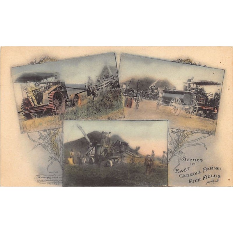 Rare collectable postcards of United States. Vintage Postcards of United States