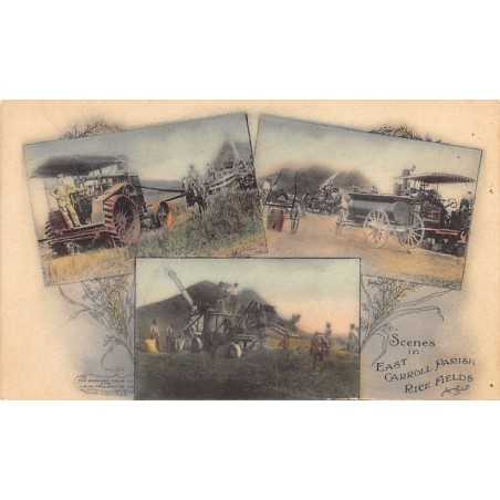 Rare collectable postcards of United States. Vintage Postcards of United States