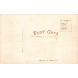 Rare collectable postcards of United States. Vintage Postcards of United States