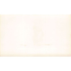 Rare collectable postcards of United States. Vintage Postcards of United States