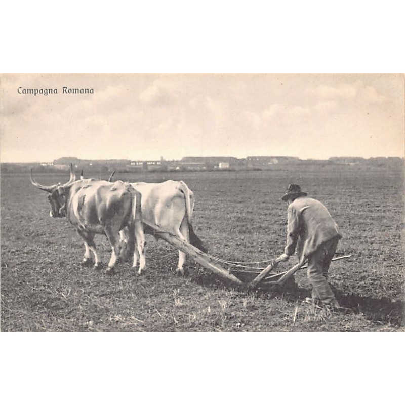 Rare collectable postcards of ITALIA Italy. Vintage Postcards of ITALIA Italy