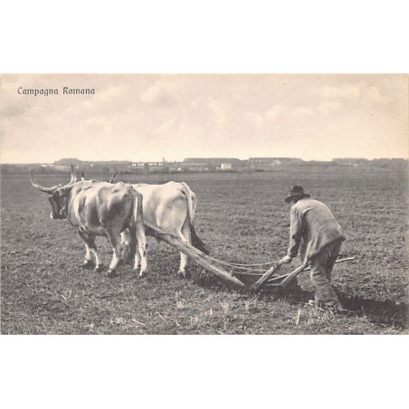 Rare collectable postcards of ITALIA Italy. Vintage Postcards of ITALIA Italy