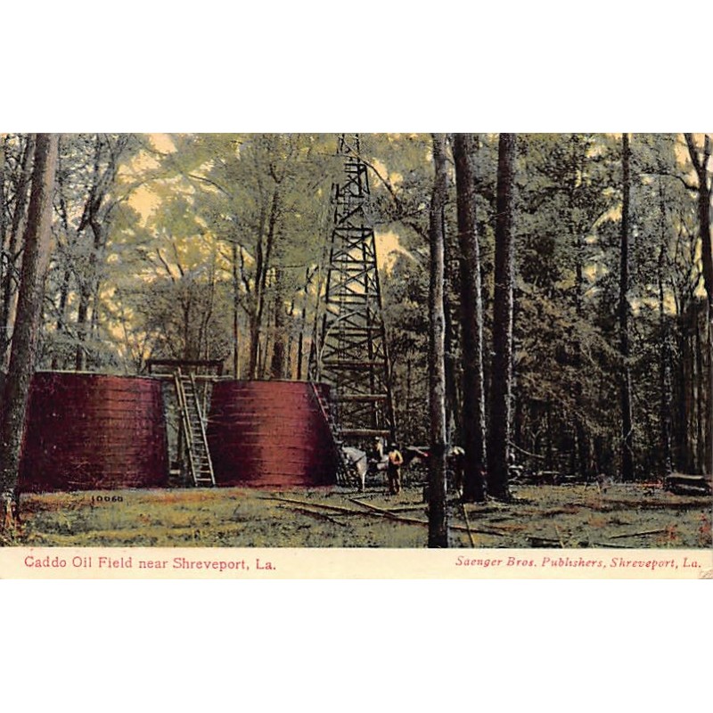 Rare collectable postcards of United States. Vintage Postcards of United States