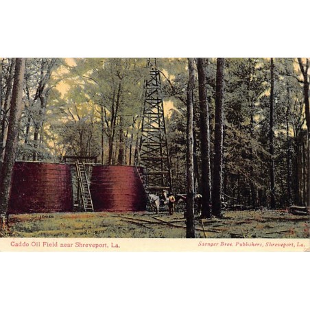 Rare collectable postcards of United States. Vintage Postcards of United States