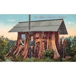 Rare collectable postcards of United States. Vintage Postcards of United States