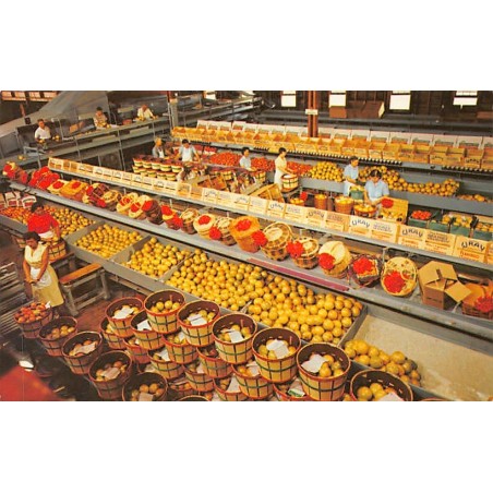 Rare collectable postcards of United States. Vintage Postcards of United States