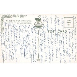 Rare collectable postcards of United States. Vintage Postcards of United States