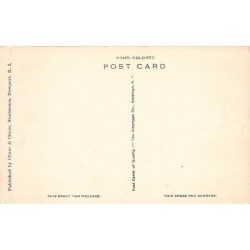 Rare collectable postcards of United States. Vintage Postcards of United States