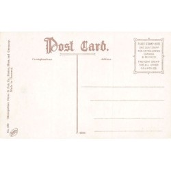 Rare collectable postcards of United States. Vintage Postcards of United States