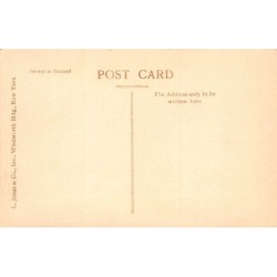 Rare collectable postcards of United States. Vintage Postcards of United States