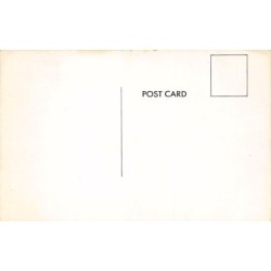 Rare collectable postcards of United States. Vintage Postcards of United States