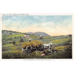 Rare collectable postcards of United States. Vintage Postcards of United States