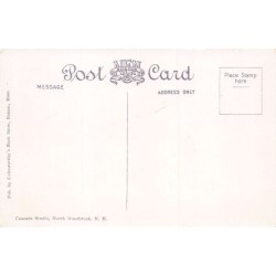 Rare collectable postcards of United States. Vintage Postcards of United States