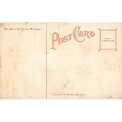 Rare collectable postcards of United States. Vintage Postcards of United States