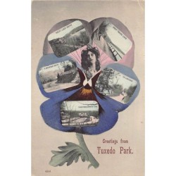 Rare collectable postcards of United States. Vintage Postcards of United States