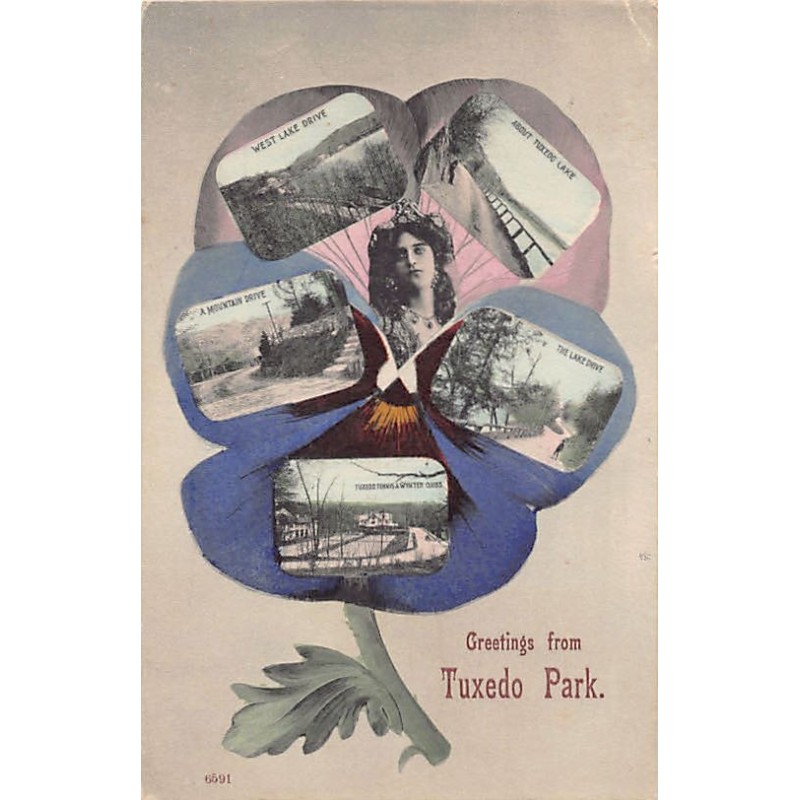 Rare collectable postcards of United States. Vintage Postcards of United States