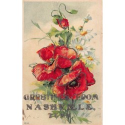 Rare collectable postcards of United States. Vintage Postcards of United States