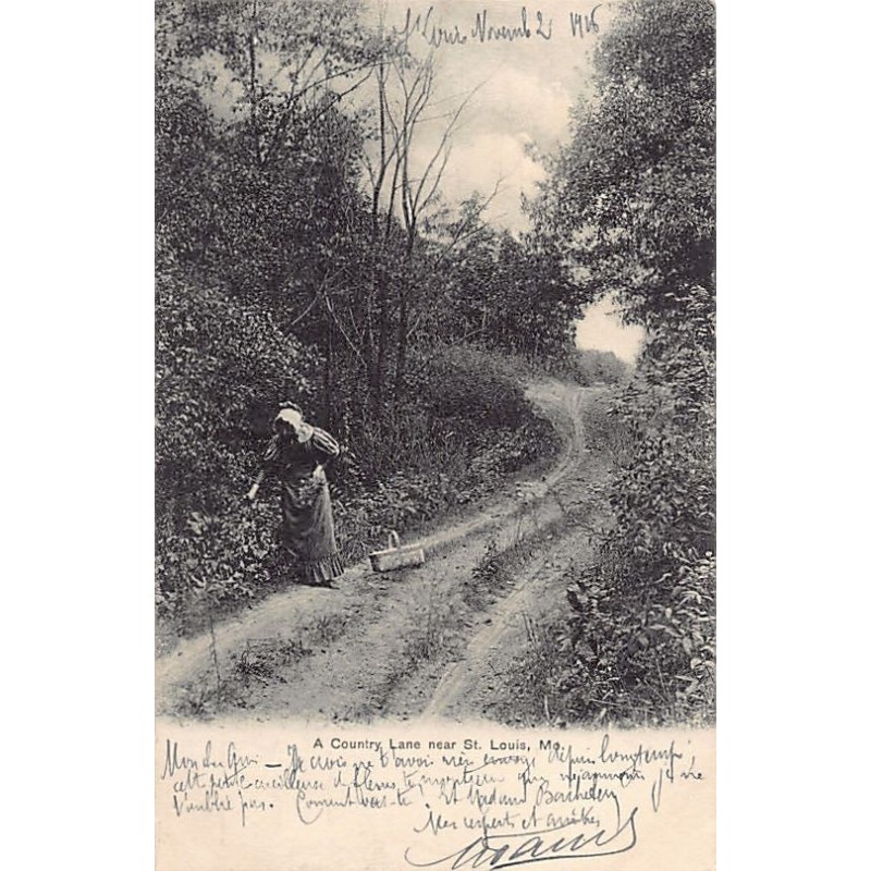 Rare collectable postcards of United States. Vintage Postcards of United States