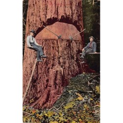 Rare collectable postcards of United States. Vintage Postcards of United States