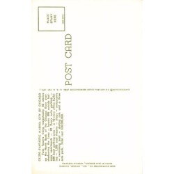 Rare collectable postcards of United States. Vintage Postcards of United States