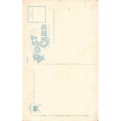 Rare collectable postcards of United States. Vintage Postcards of United States