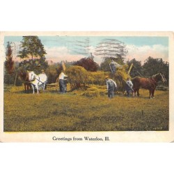 Rare collectable postcards of United States. Vintage Postcards of United States