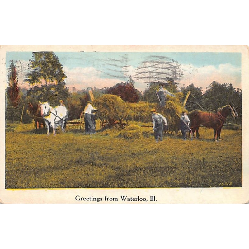 Rare collectable postcards of United States. Vintage Postcards of United States