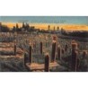 Rare collectable postcards of Greece. Vintage Postcards of Greece