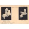 Rare collectable postcards of Greece. Vintage Postcards of Greece