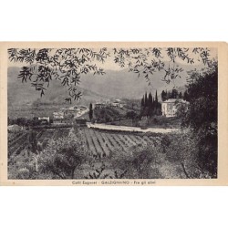 Rare collectable postcards of Italy. Vintage Postcards of Italy